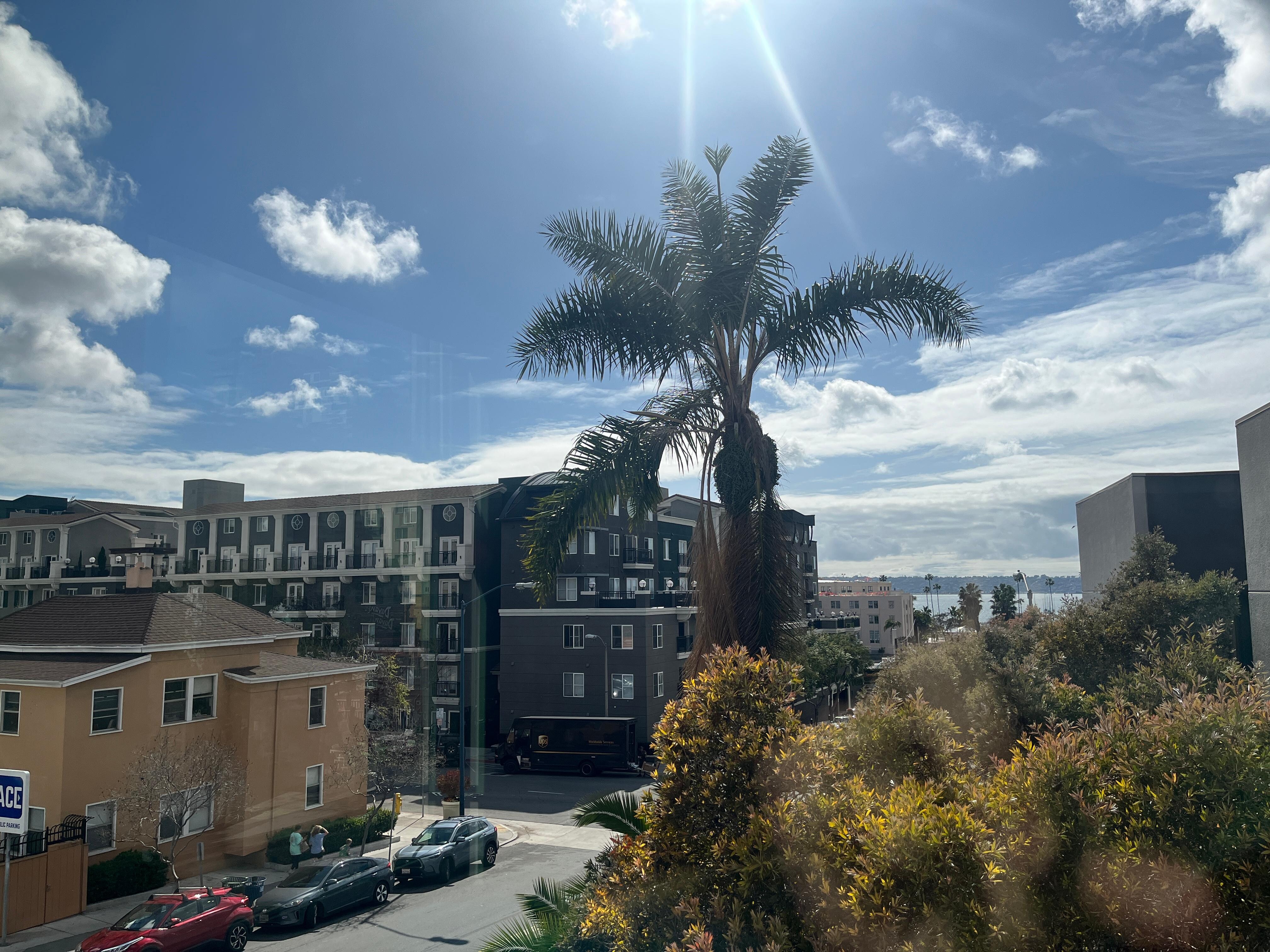 The view from the room 