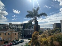 The view from the room