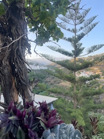View from the terrace