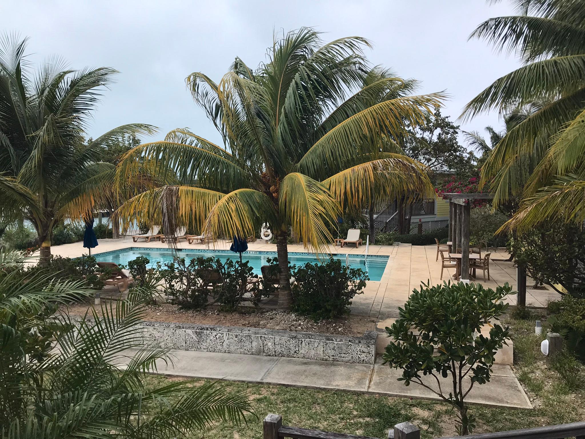 Poolside rooms have this view 