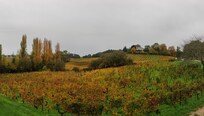 Voici la vue depuis la fenĂȘtre de la chambre