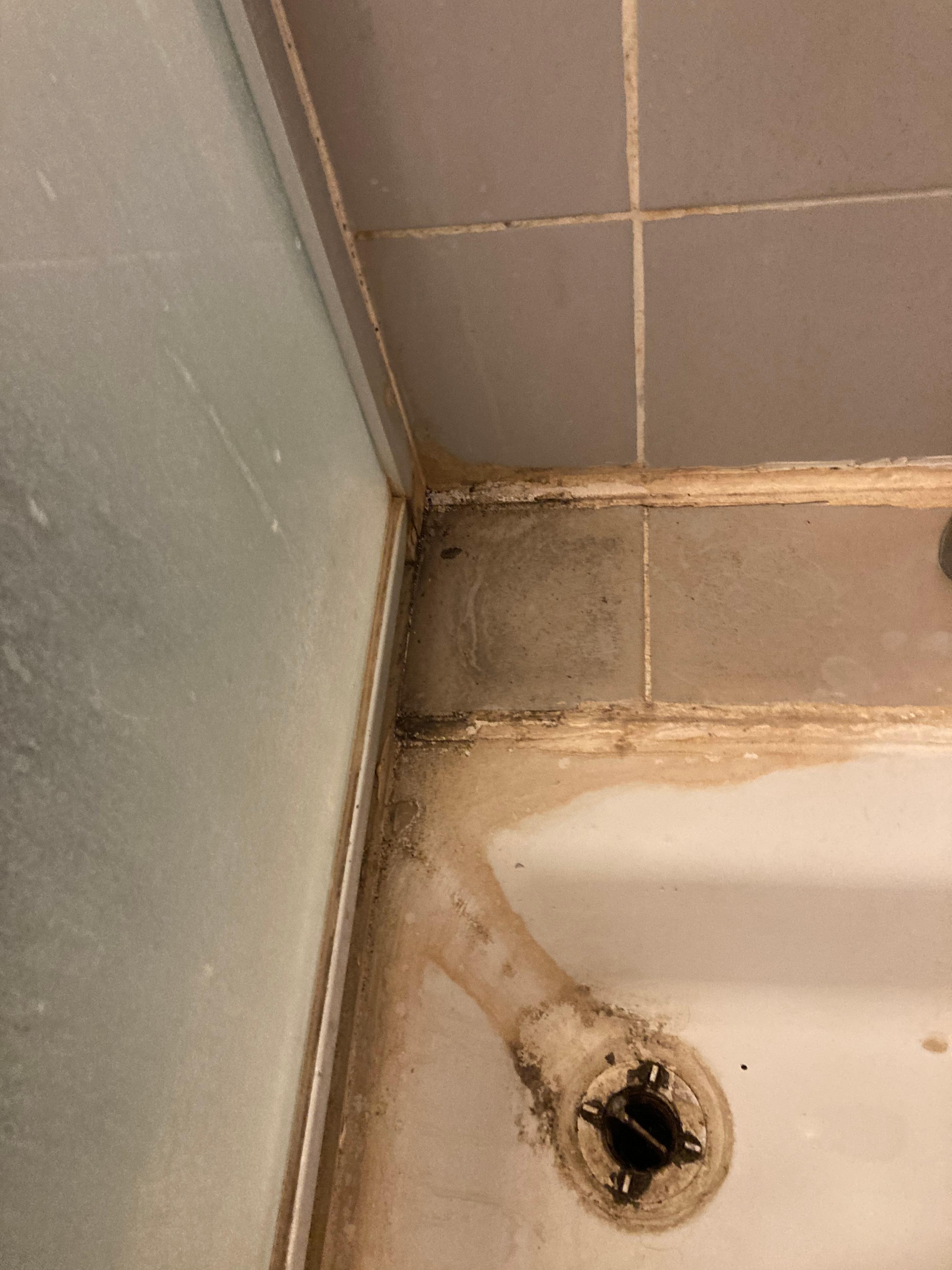 Shower drain