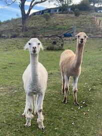 Friendly locals