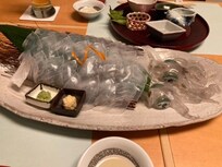 活き烏賊懐石