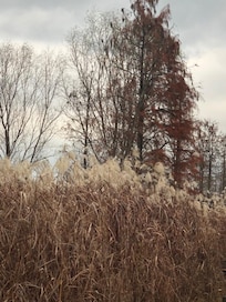 西溪國家濕地公園