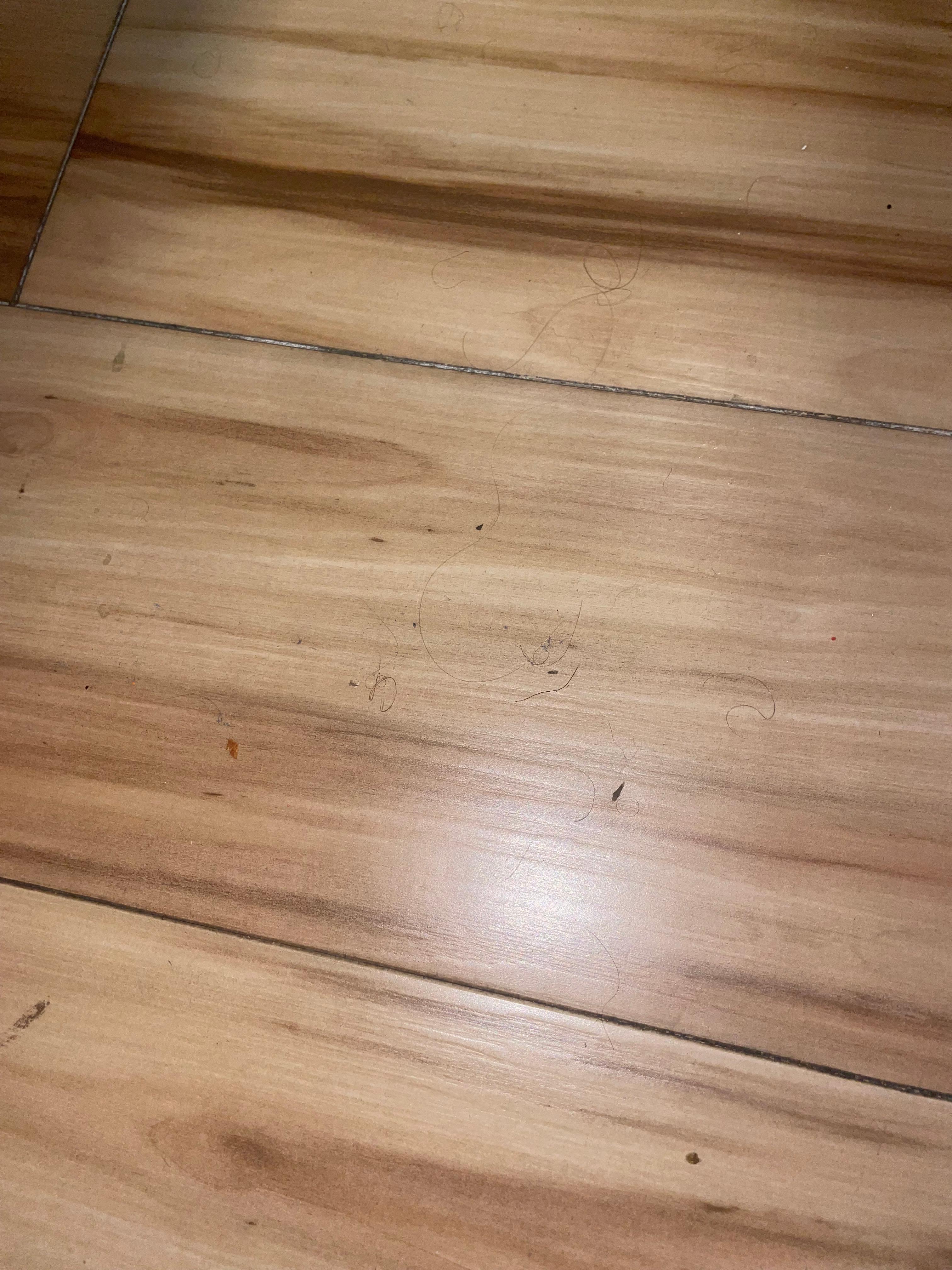 Hair on the floors