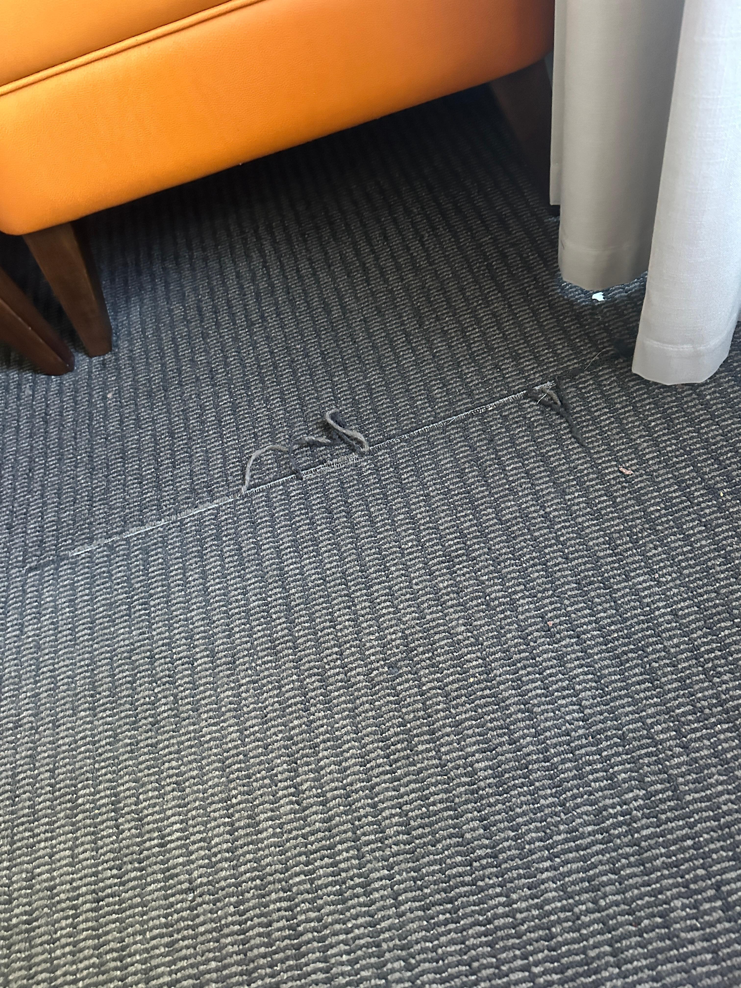 Torn Carpet