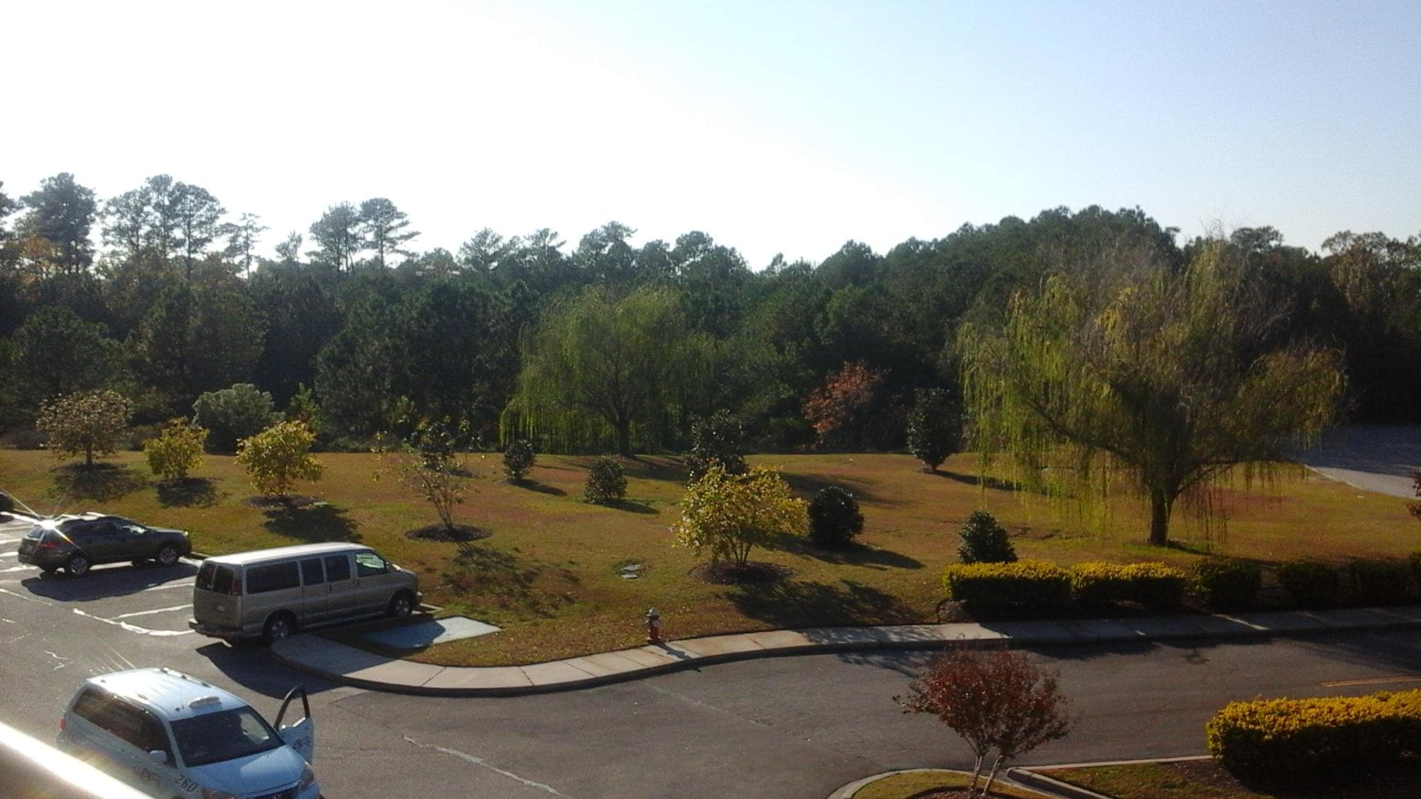 Gregg St View