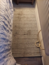 Stains on the newly renovated carpets