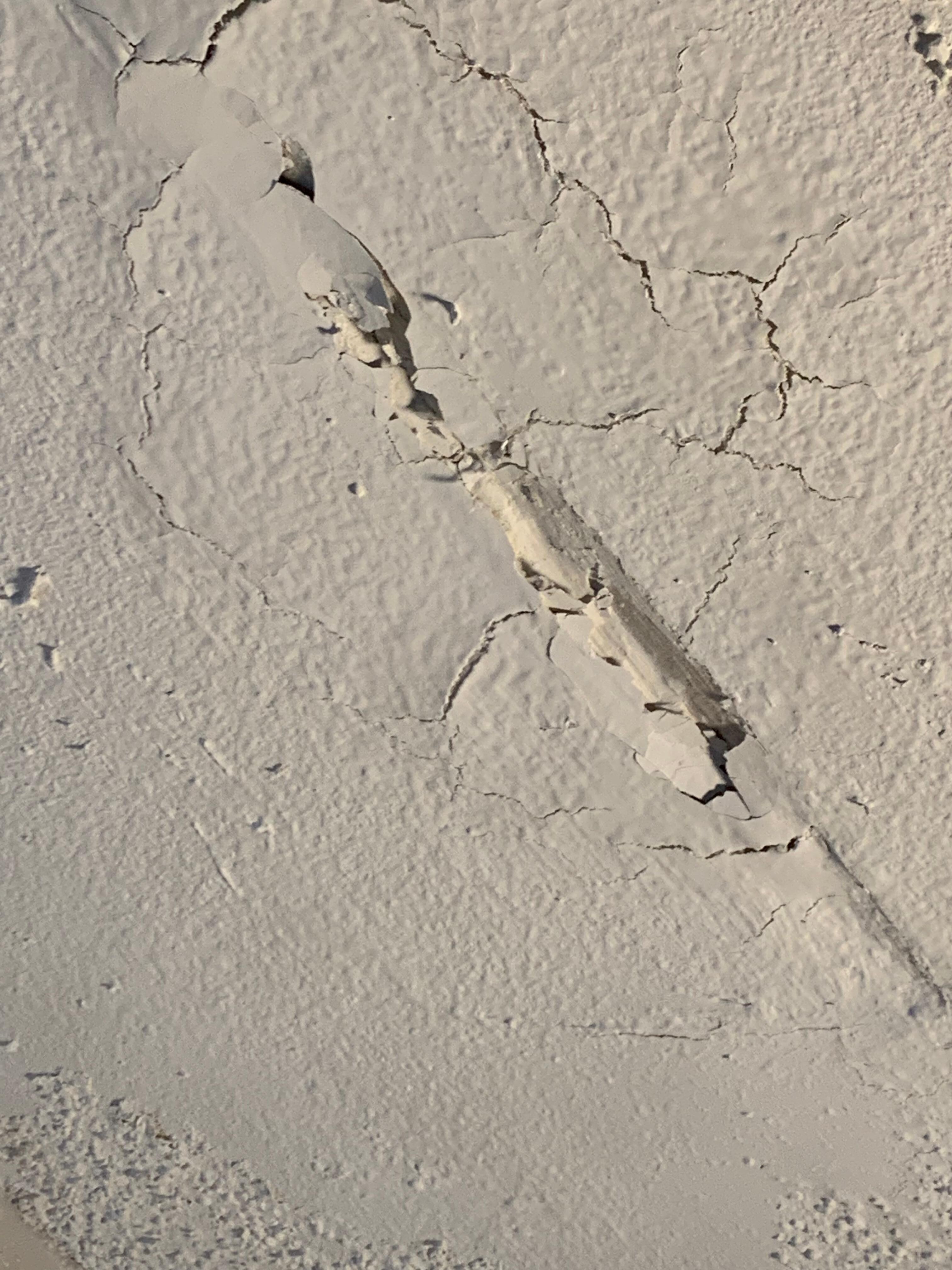 Just a sample of the ceiling