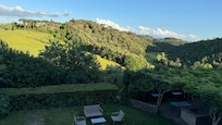 The view