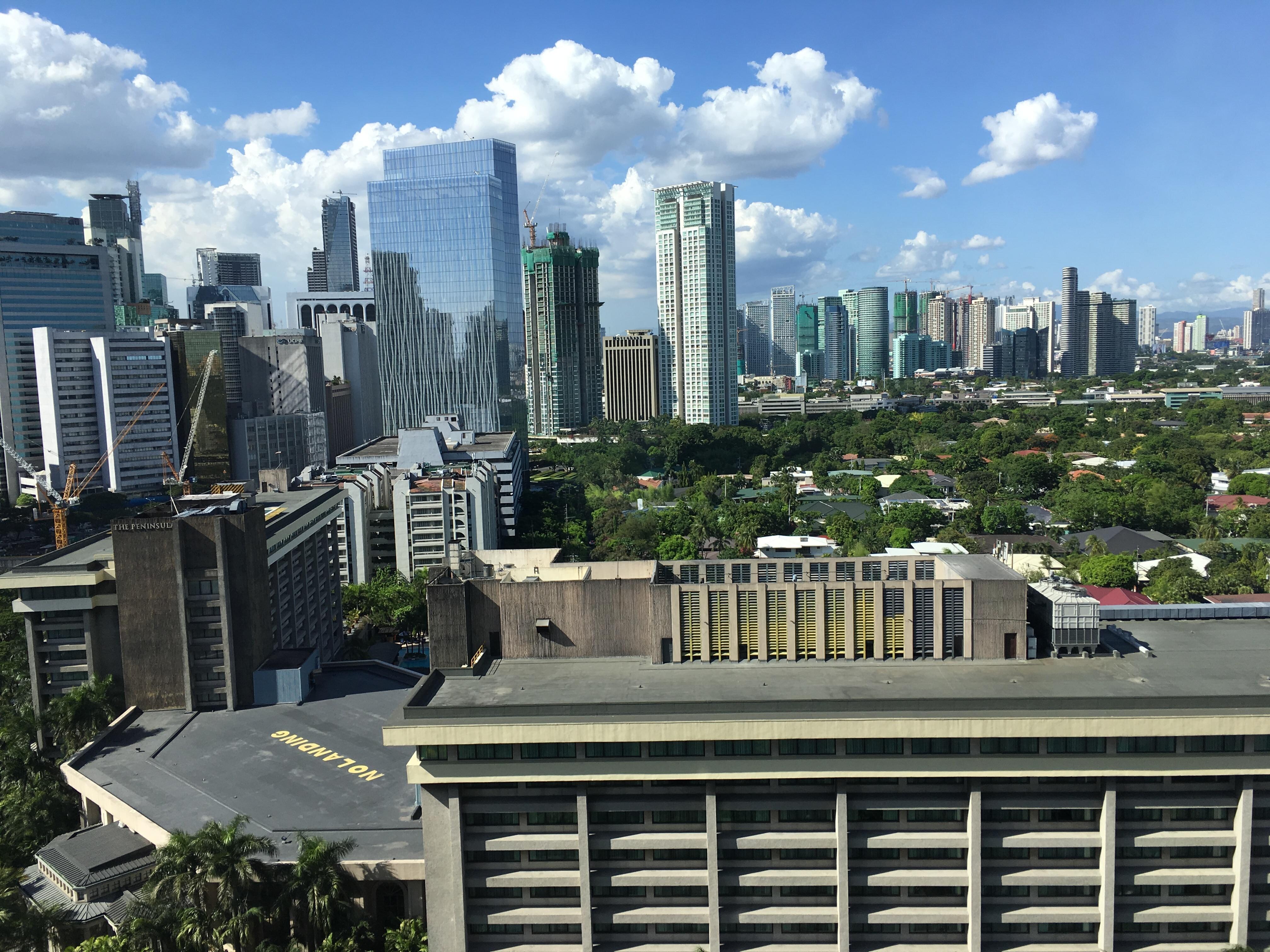 Morning view
