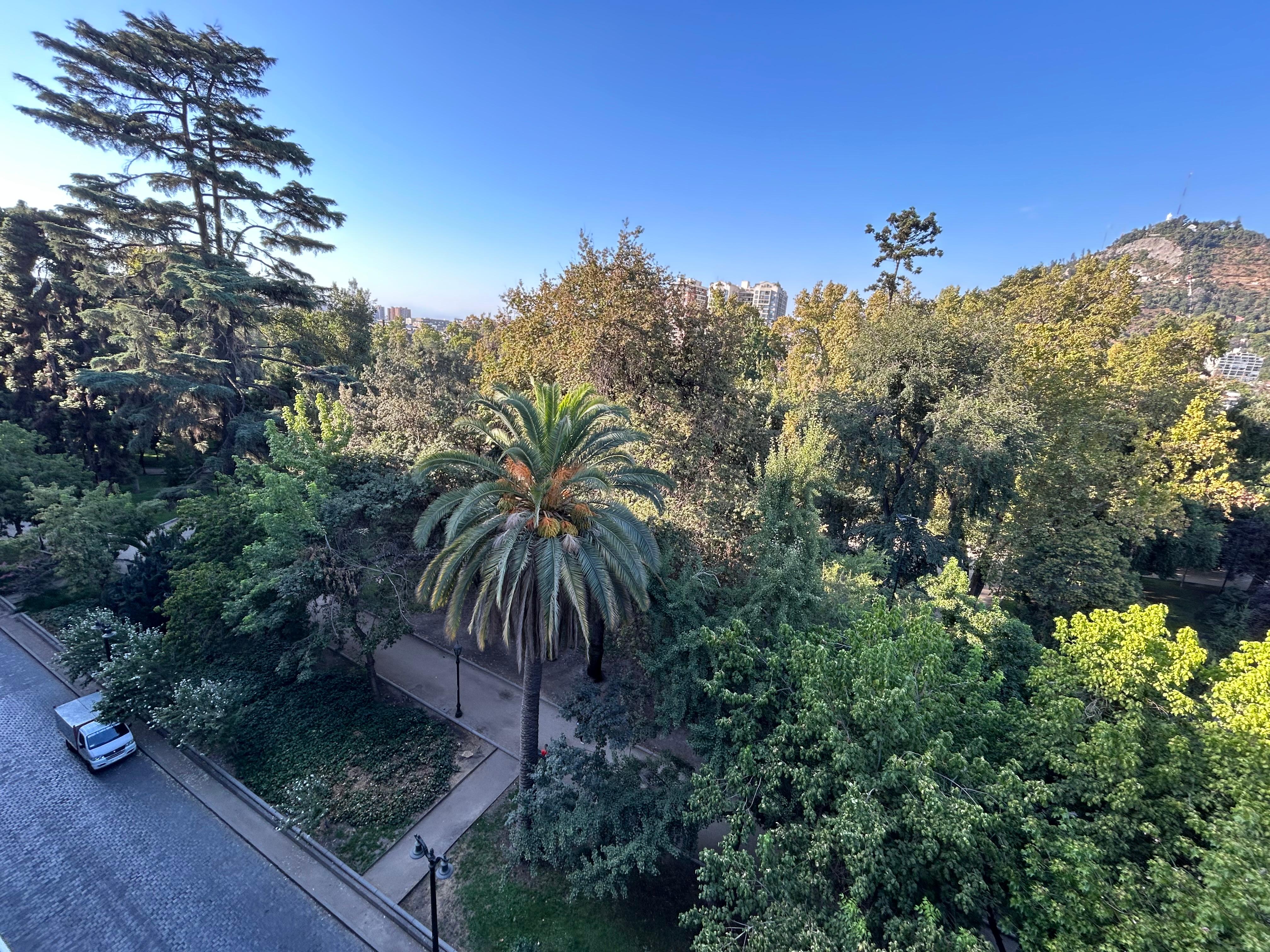 Vue sur le parc