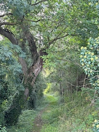 Hiking