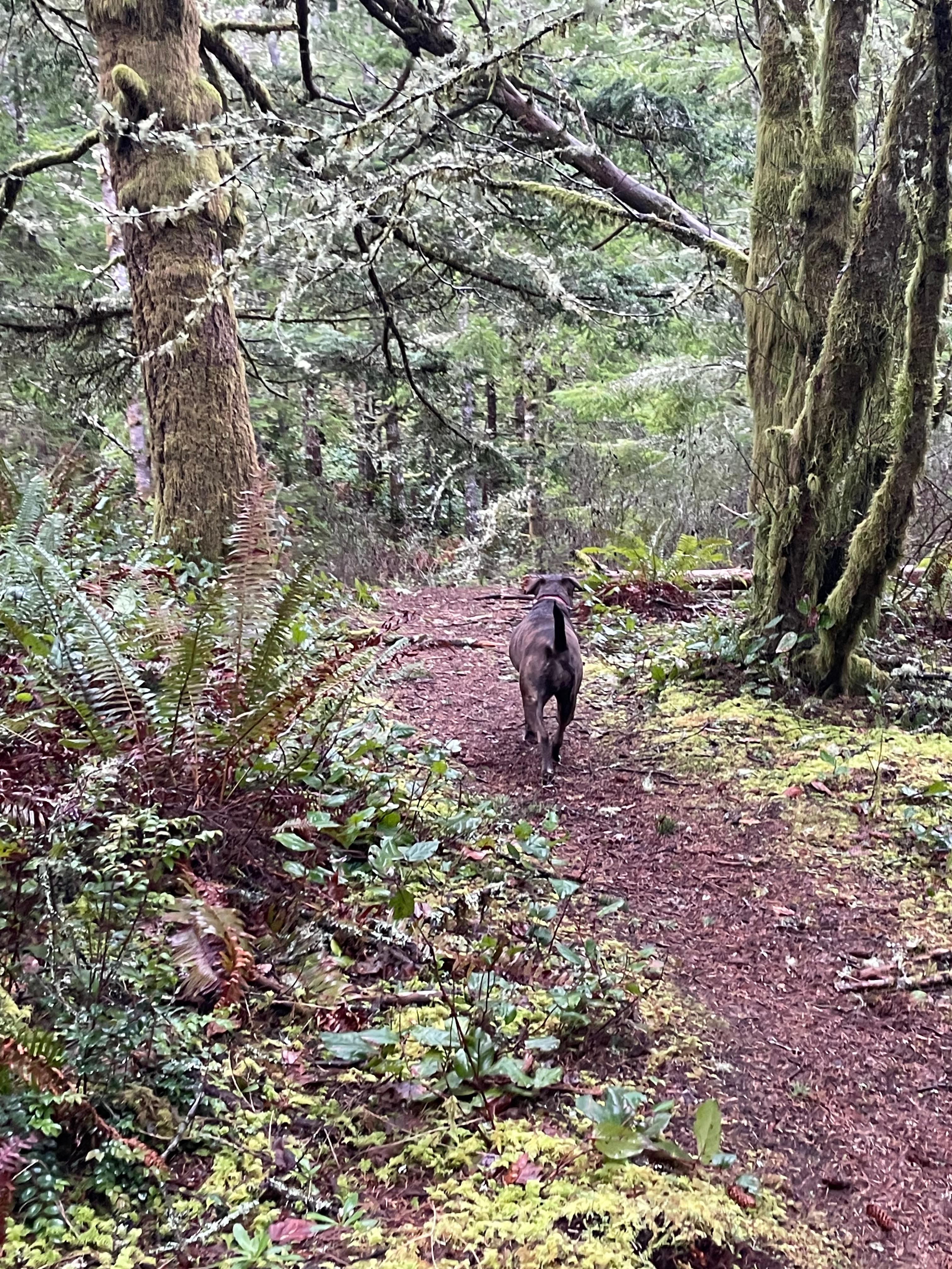 Property hiking trail