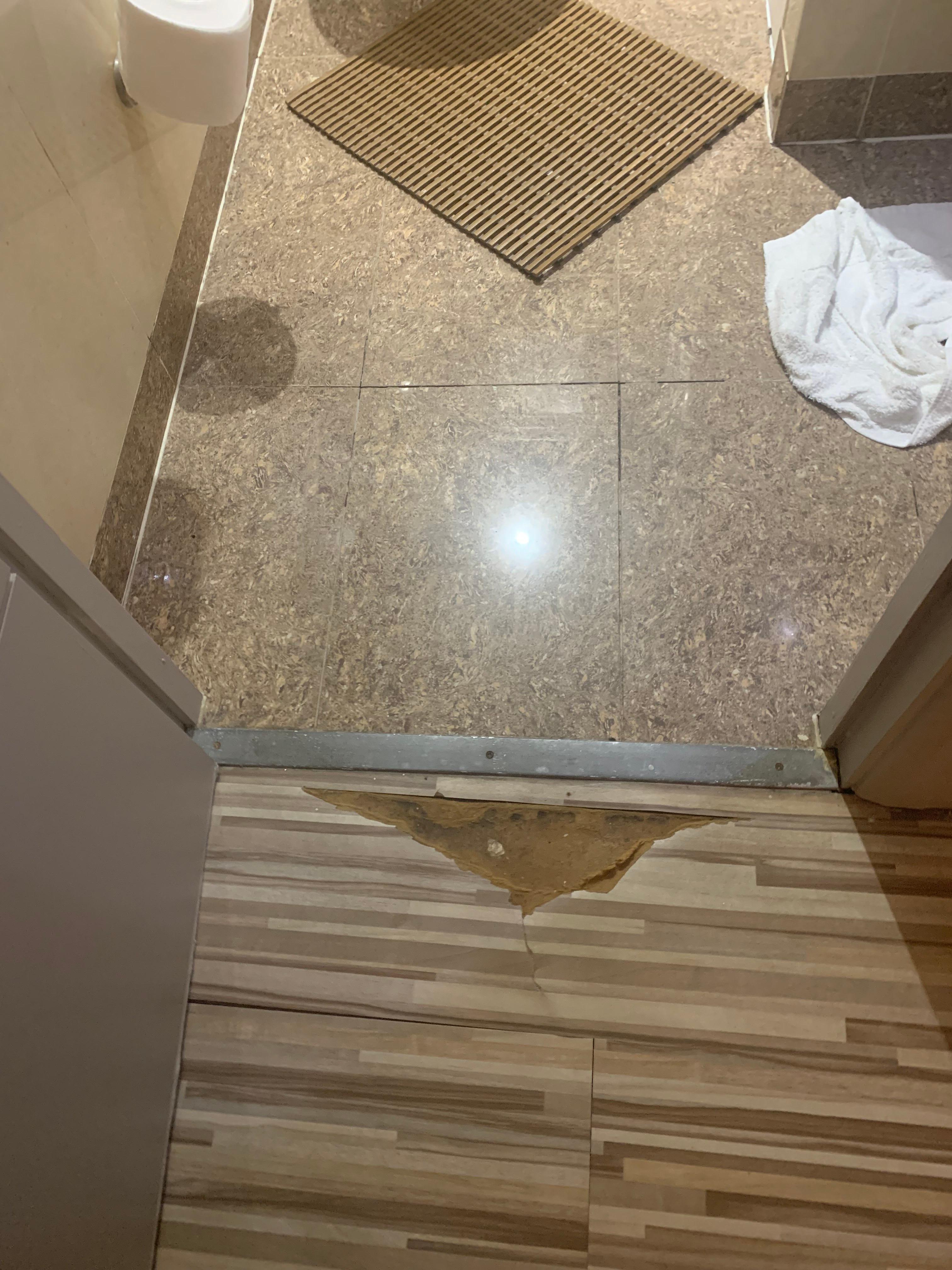 Le sol est dégradé en entrant dans la salle de bains et pas réparé. Il n'y a pas de tapis de bain pour le sol mais une grille en plastique idéale pour attraper des mycoses.
