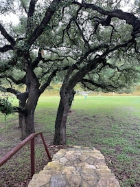 Looking out the back to the Blanco River