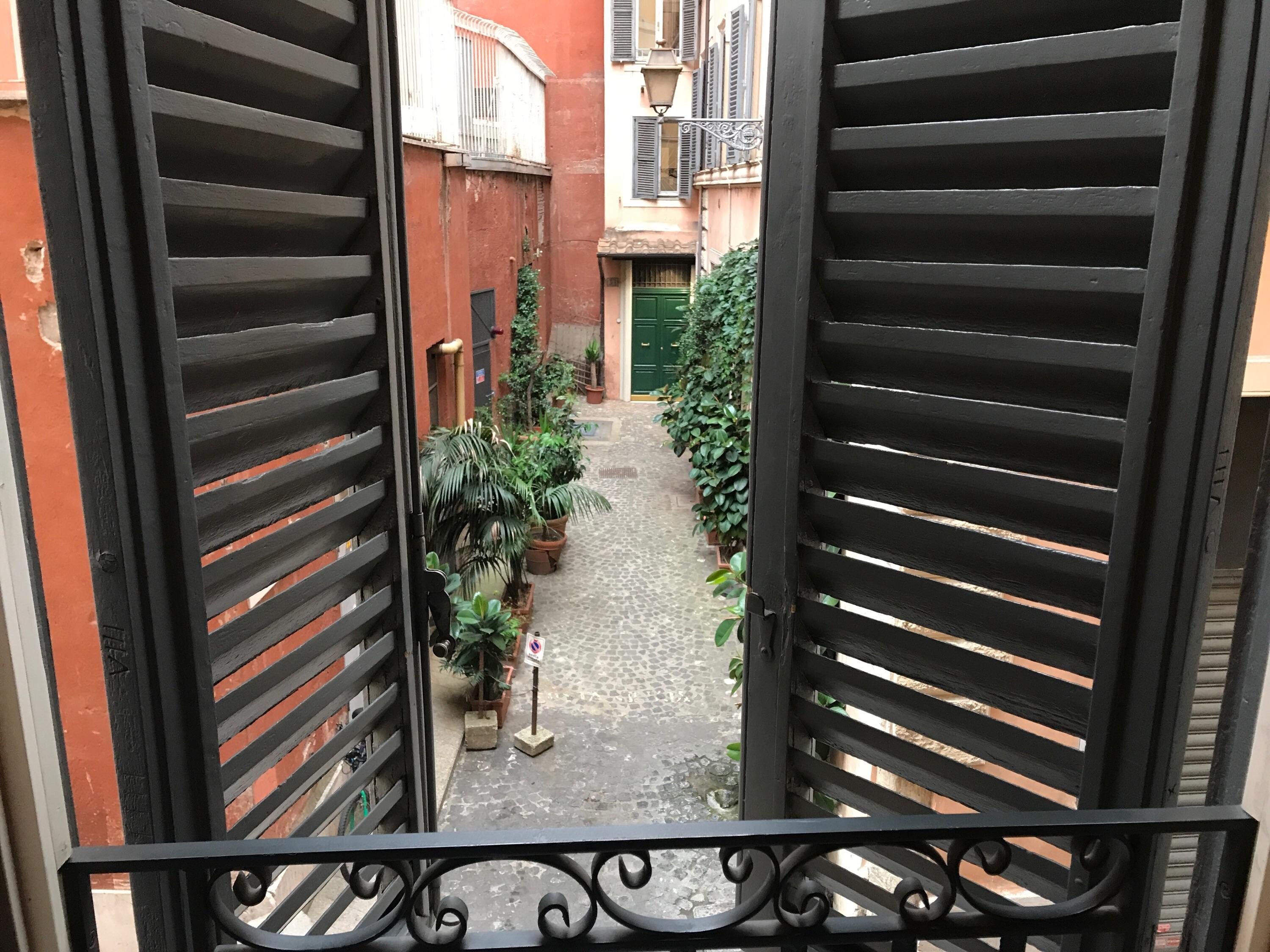 View from window