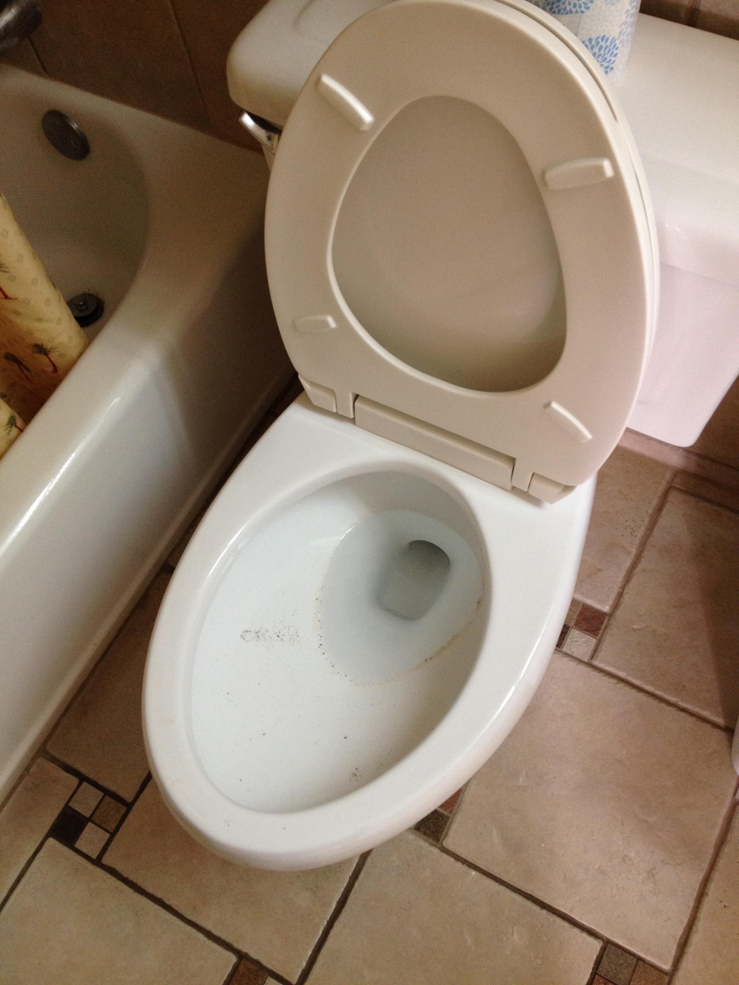 Dirty Toilet
