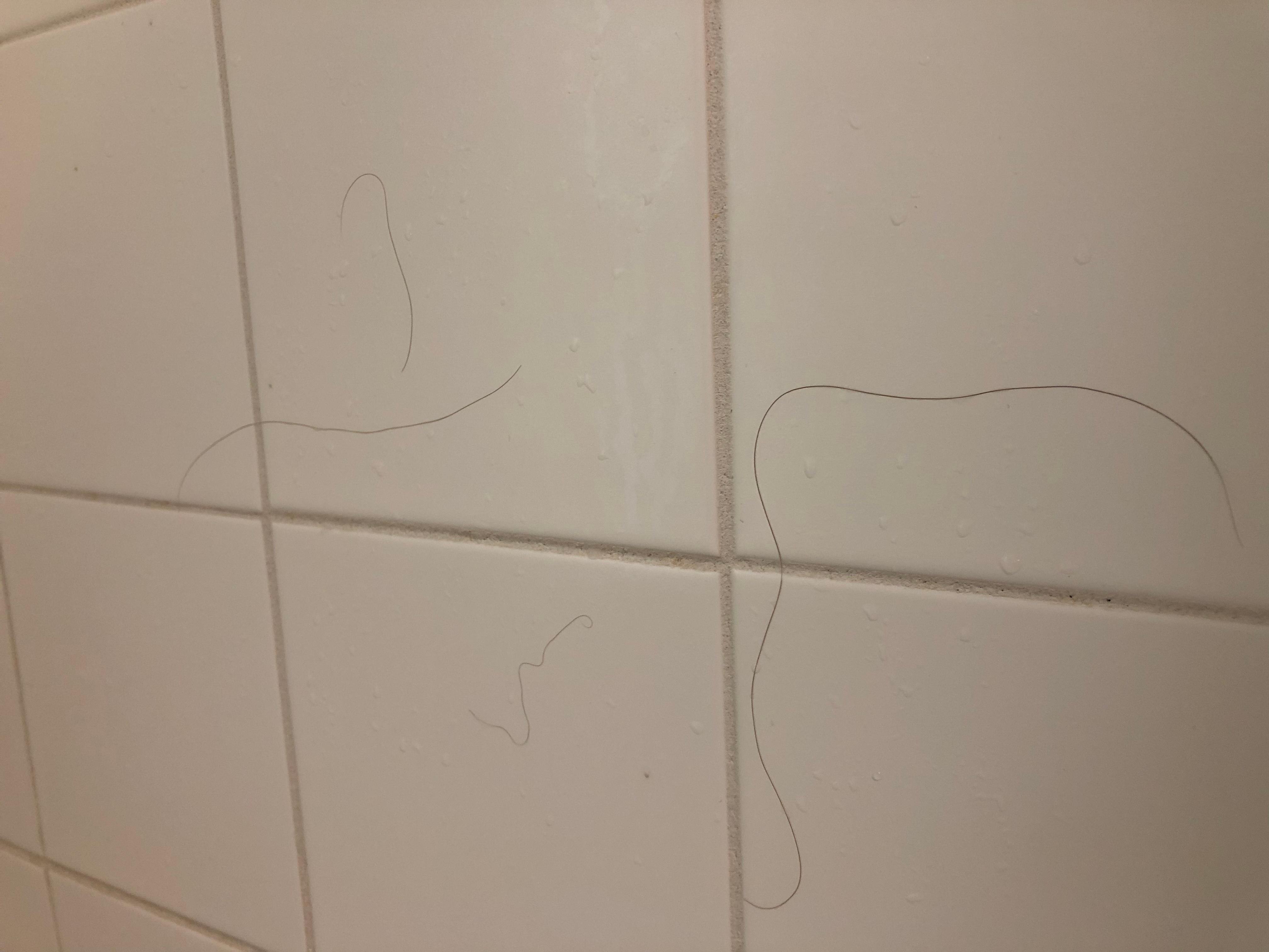 Hair on the shower walls