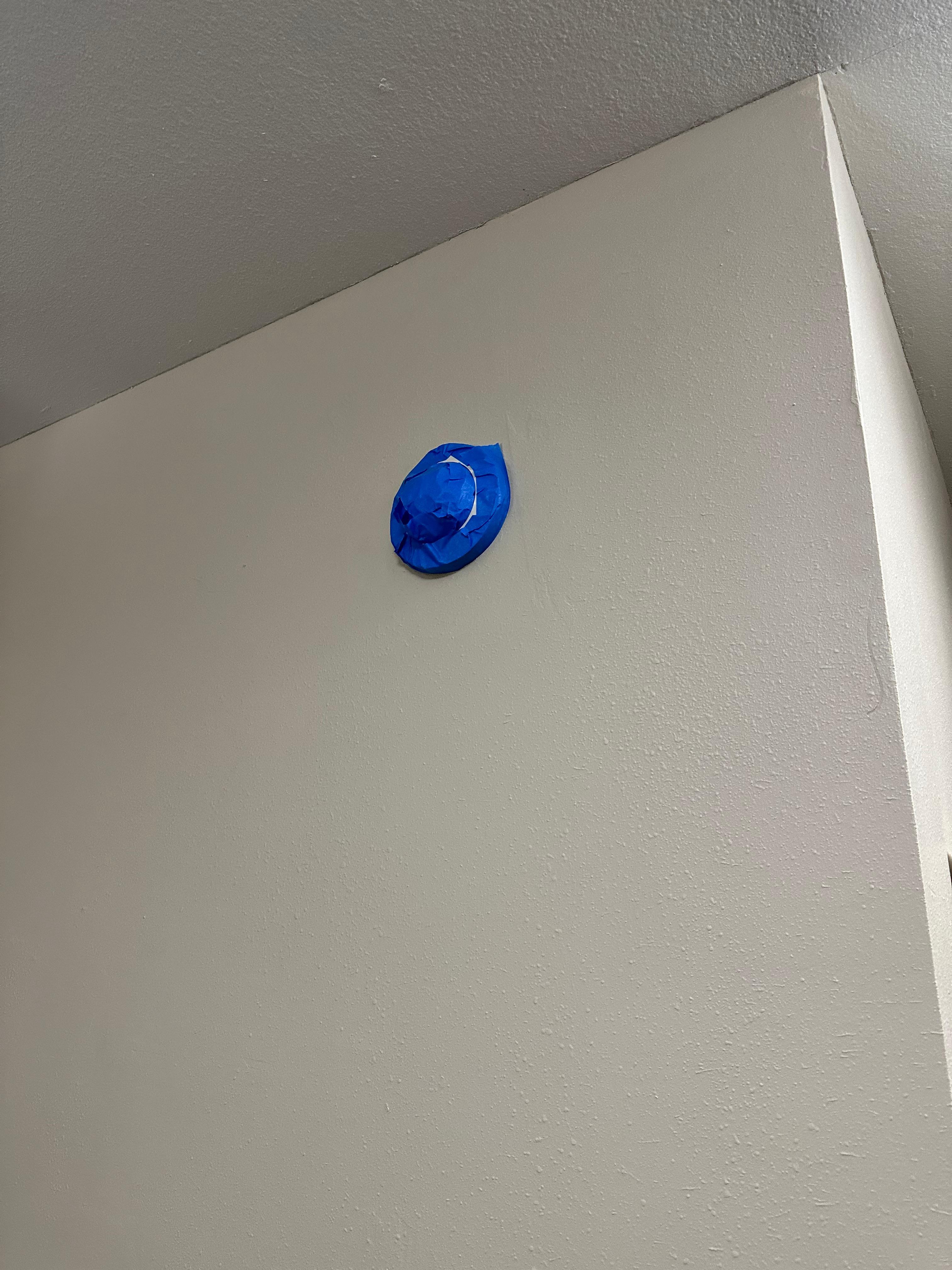 Painters tape over smoke detectors 