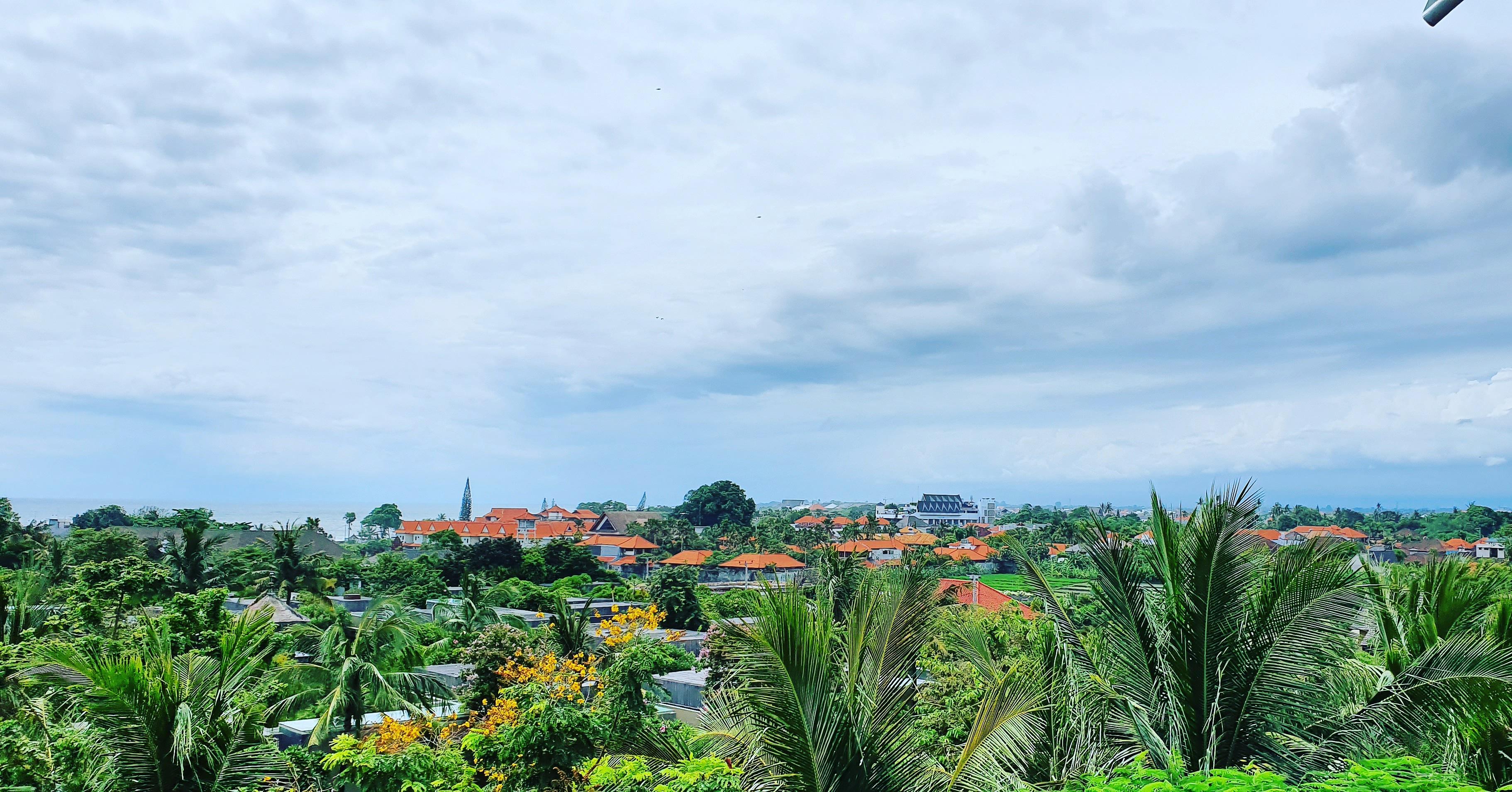 View from the restaurant.