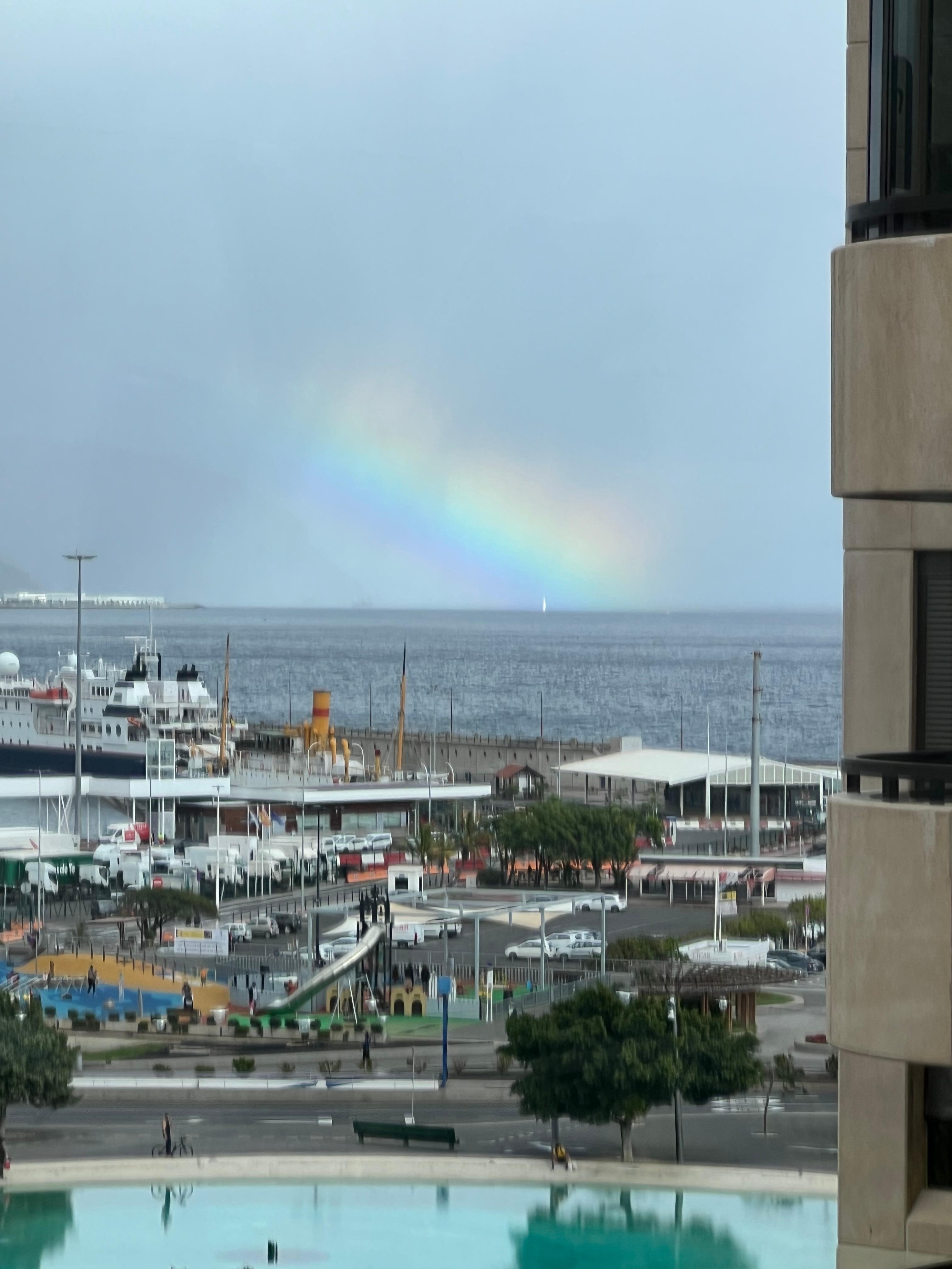 View from the roof