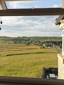 What do you mean I have to leave the bed and go to work....of all the cheek.