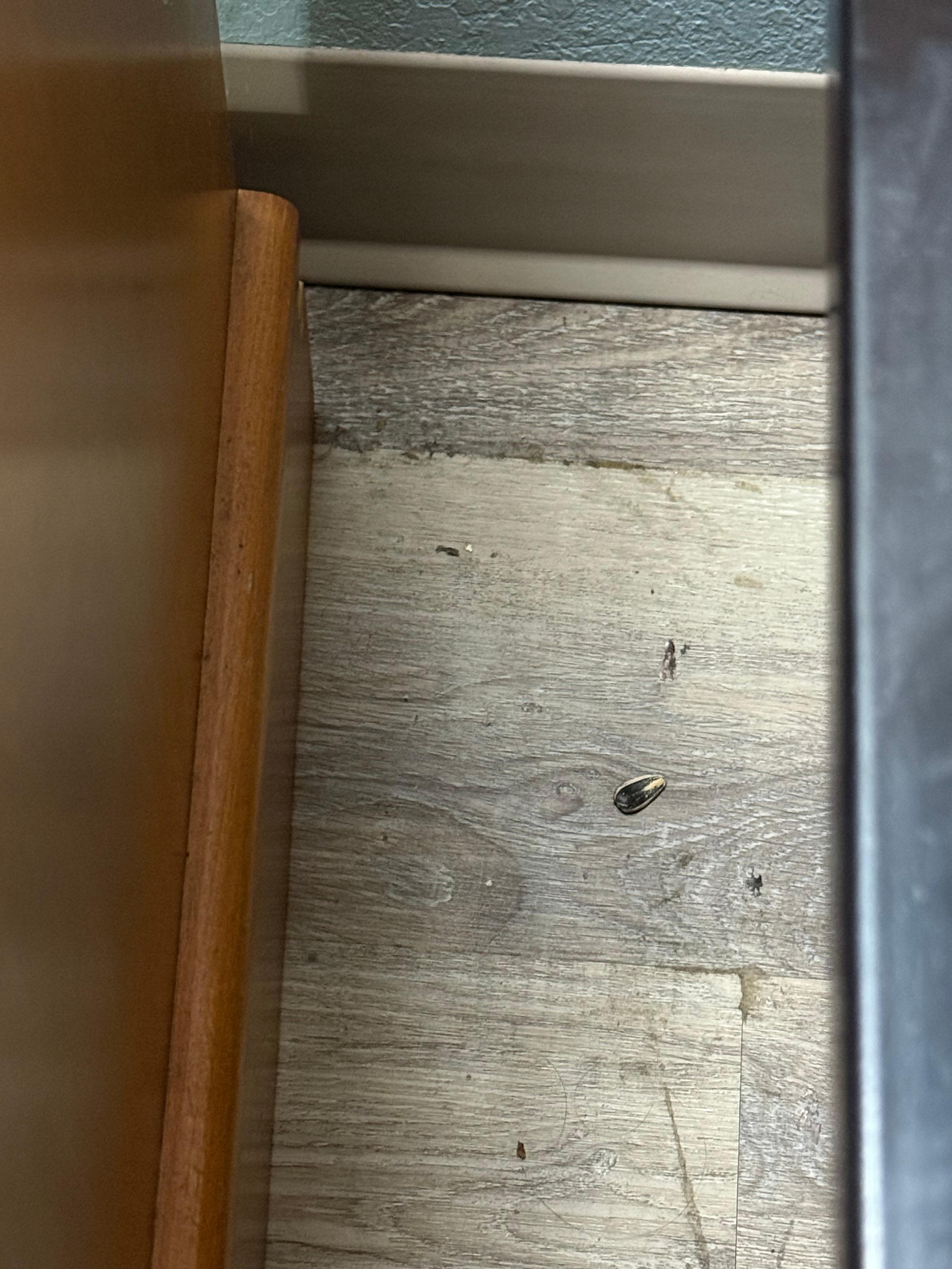 Floor by night stand.