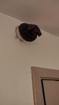 Smoke detector covered with a glove