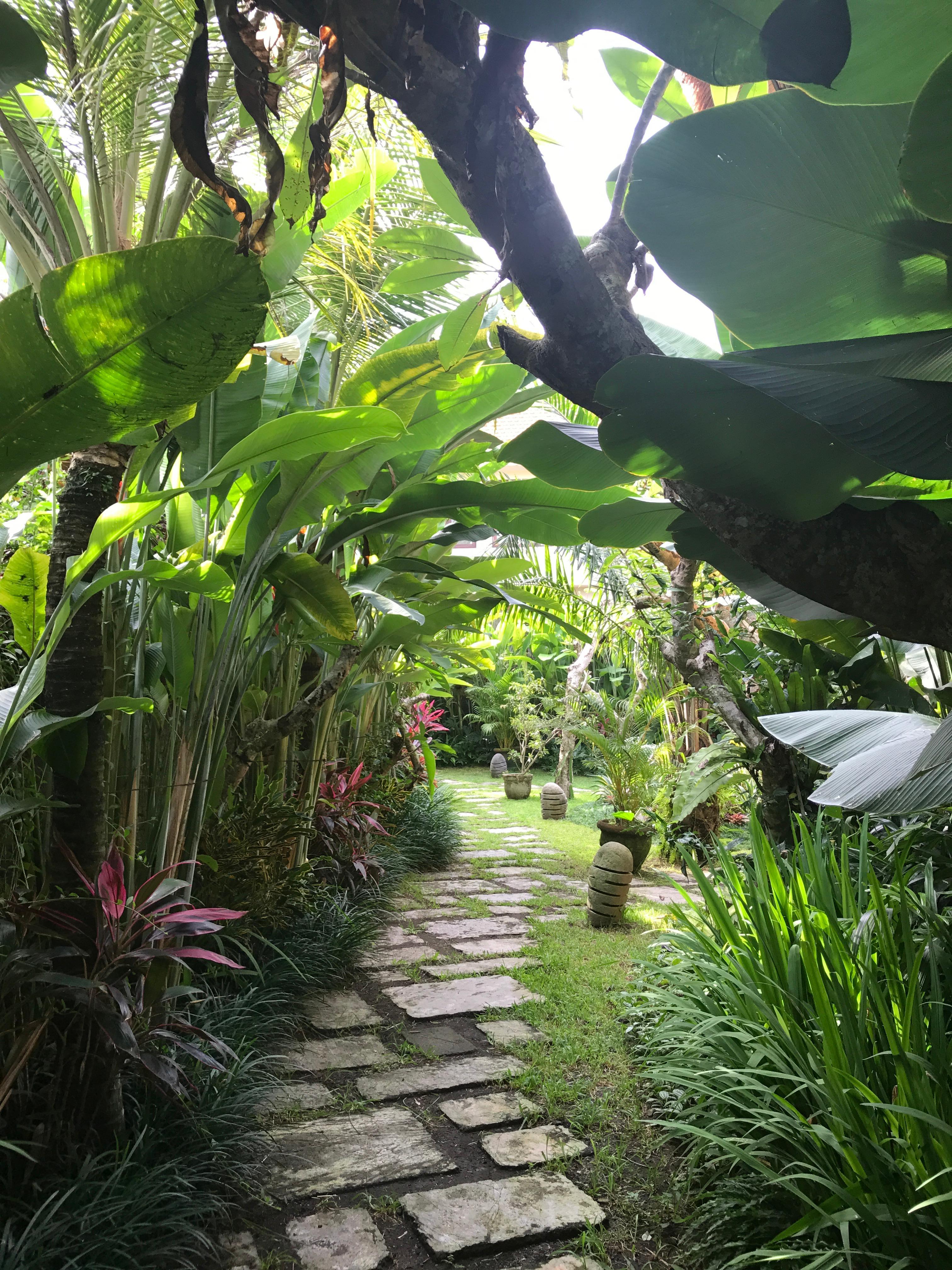 Pathway to the spa 