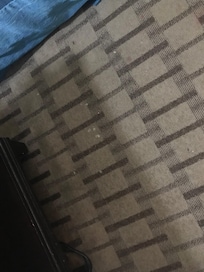 Stains we found on our carpet