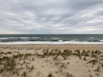 View from the dining room