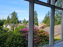 View from room window