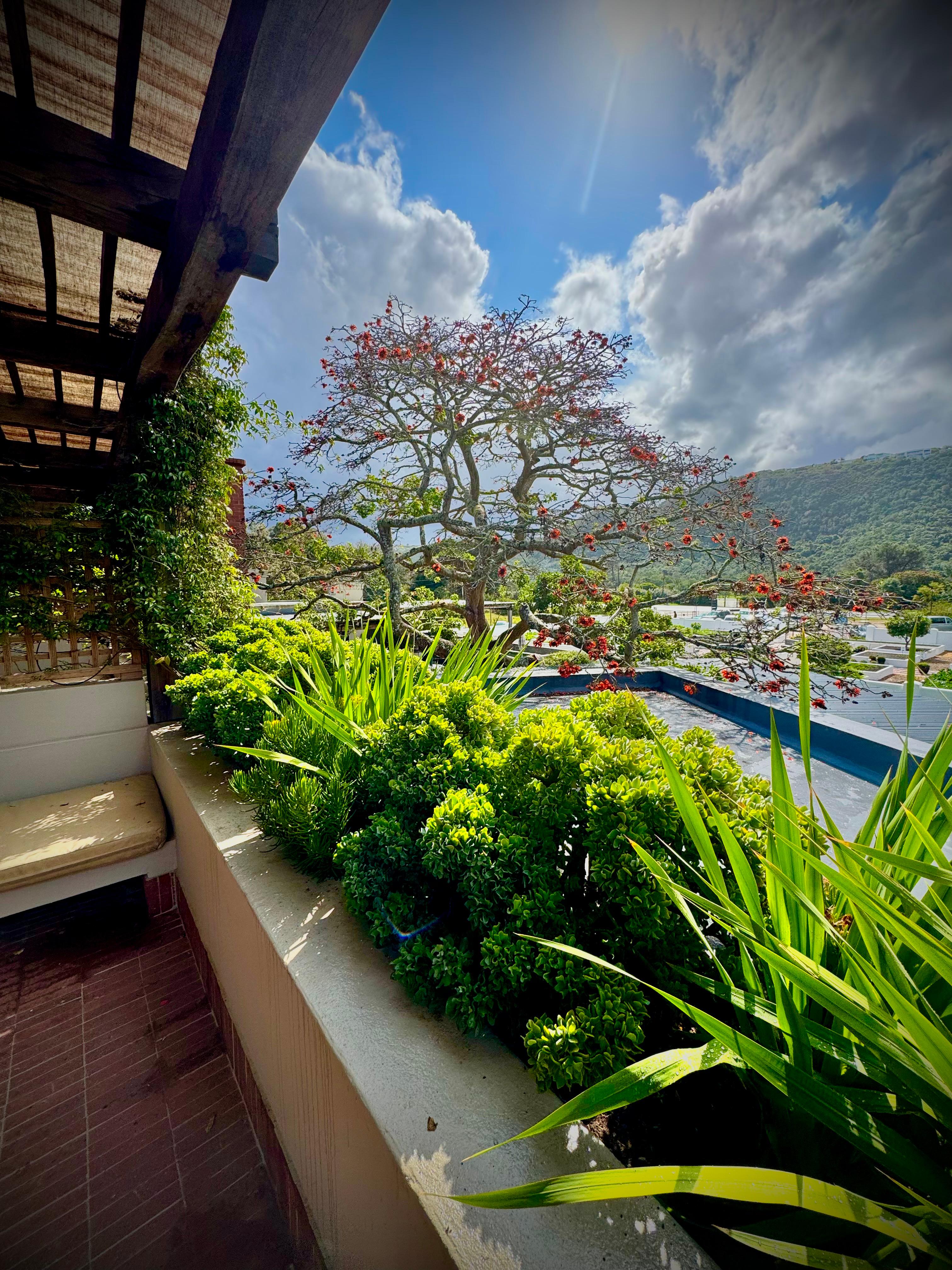 Patio view from Room 3