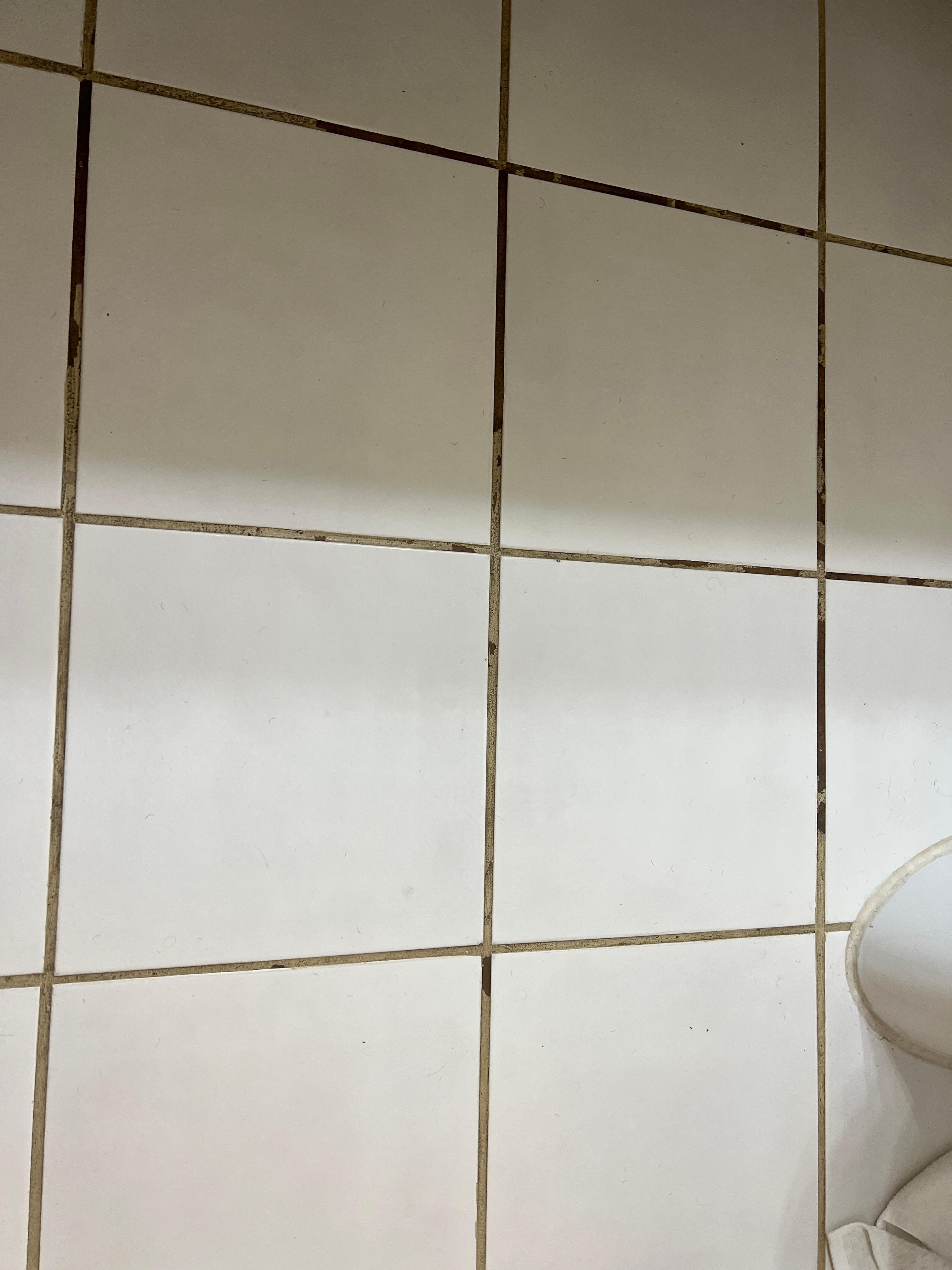 Discolored, moldy grout 