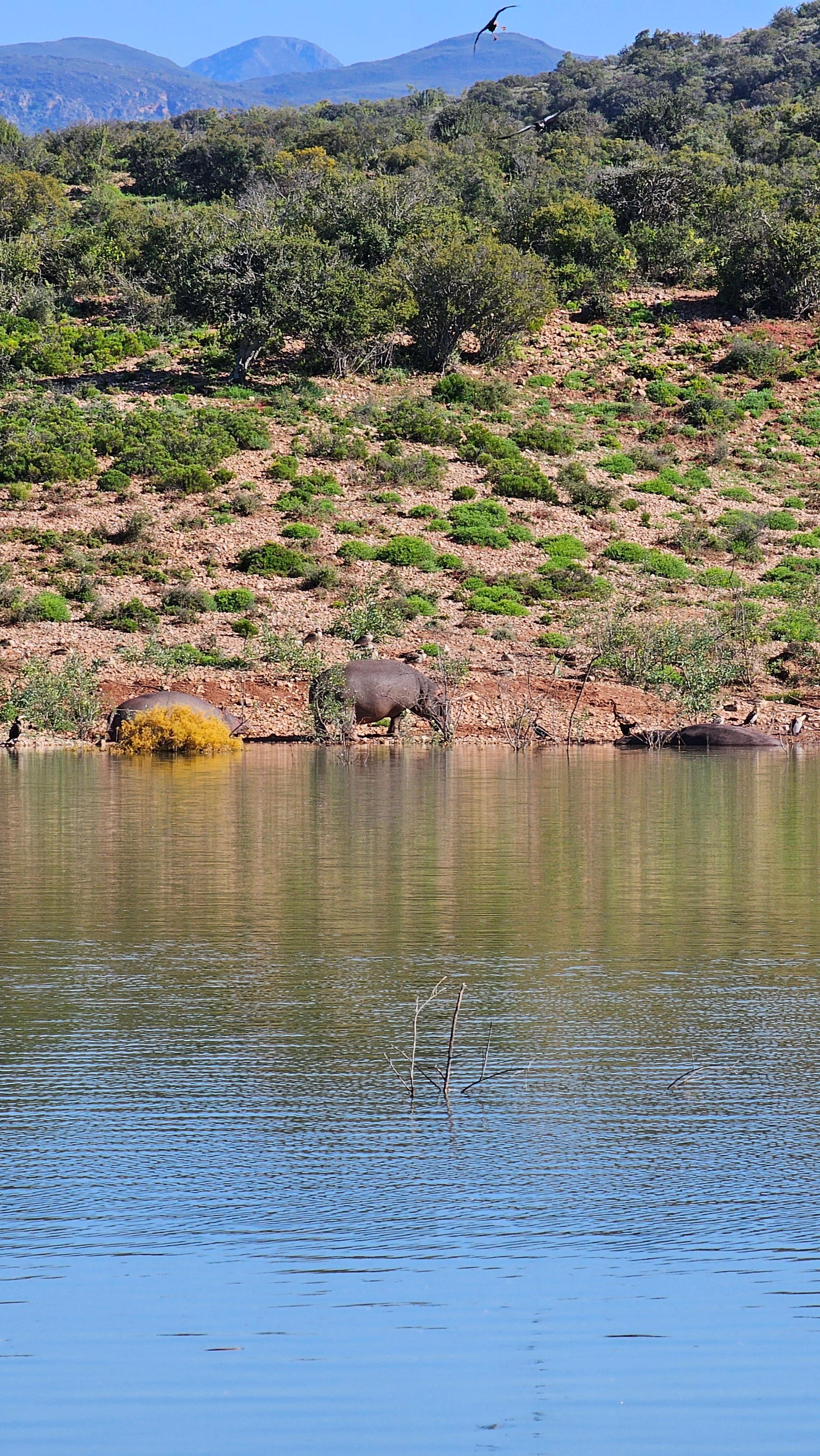 Room view to the dam