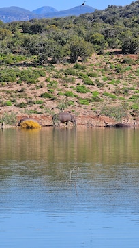 Room view to the dam