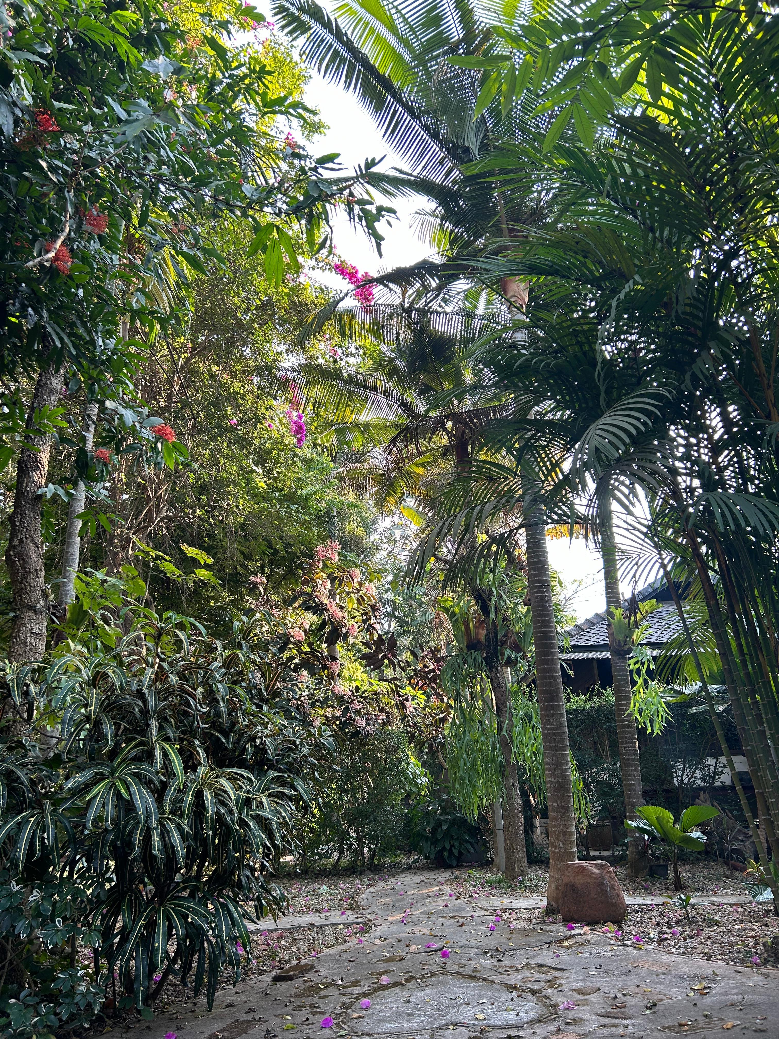 garden view in front of the house 