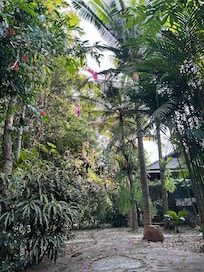 garden view in front of the house