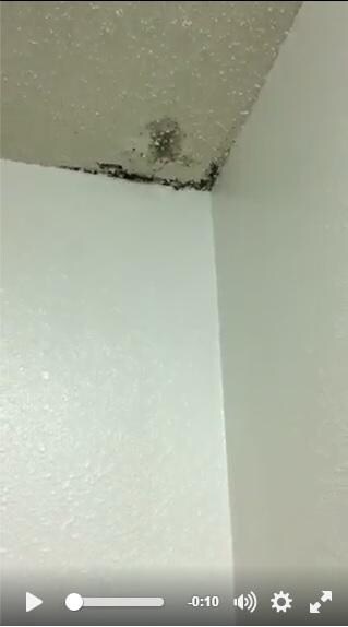our suit paints wet