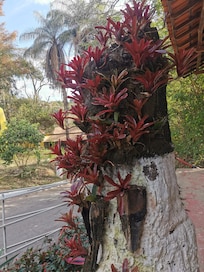 Recepção