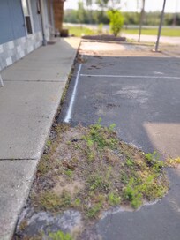 The place needs a little TLC