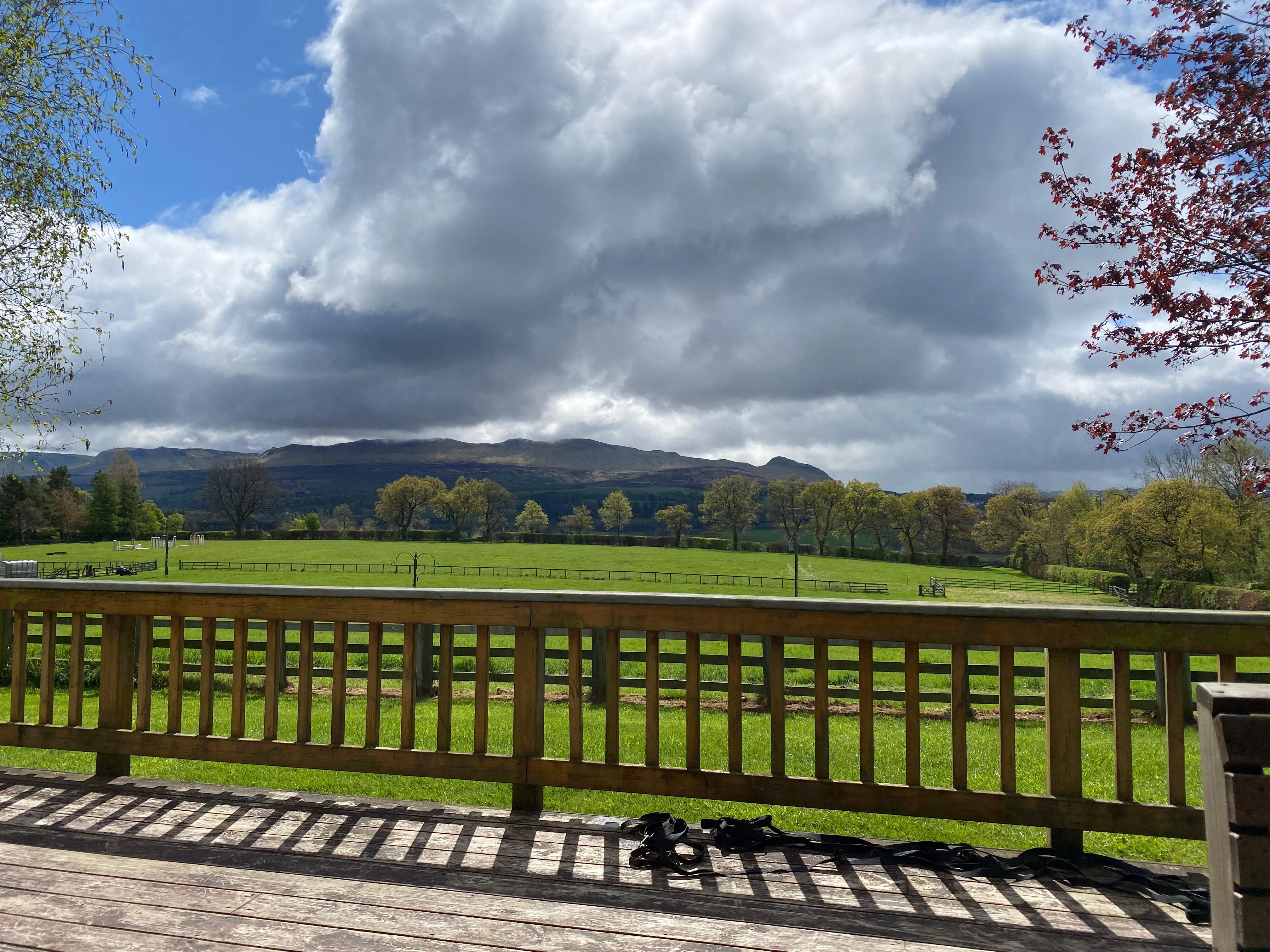 View from closed in  porch.