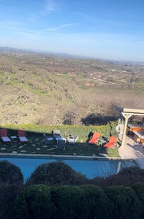 Views