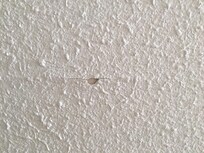 Some damage to wall in bedroom.