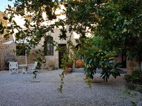 Le patio