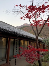 View from ryokan compound