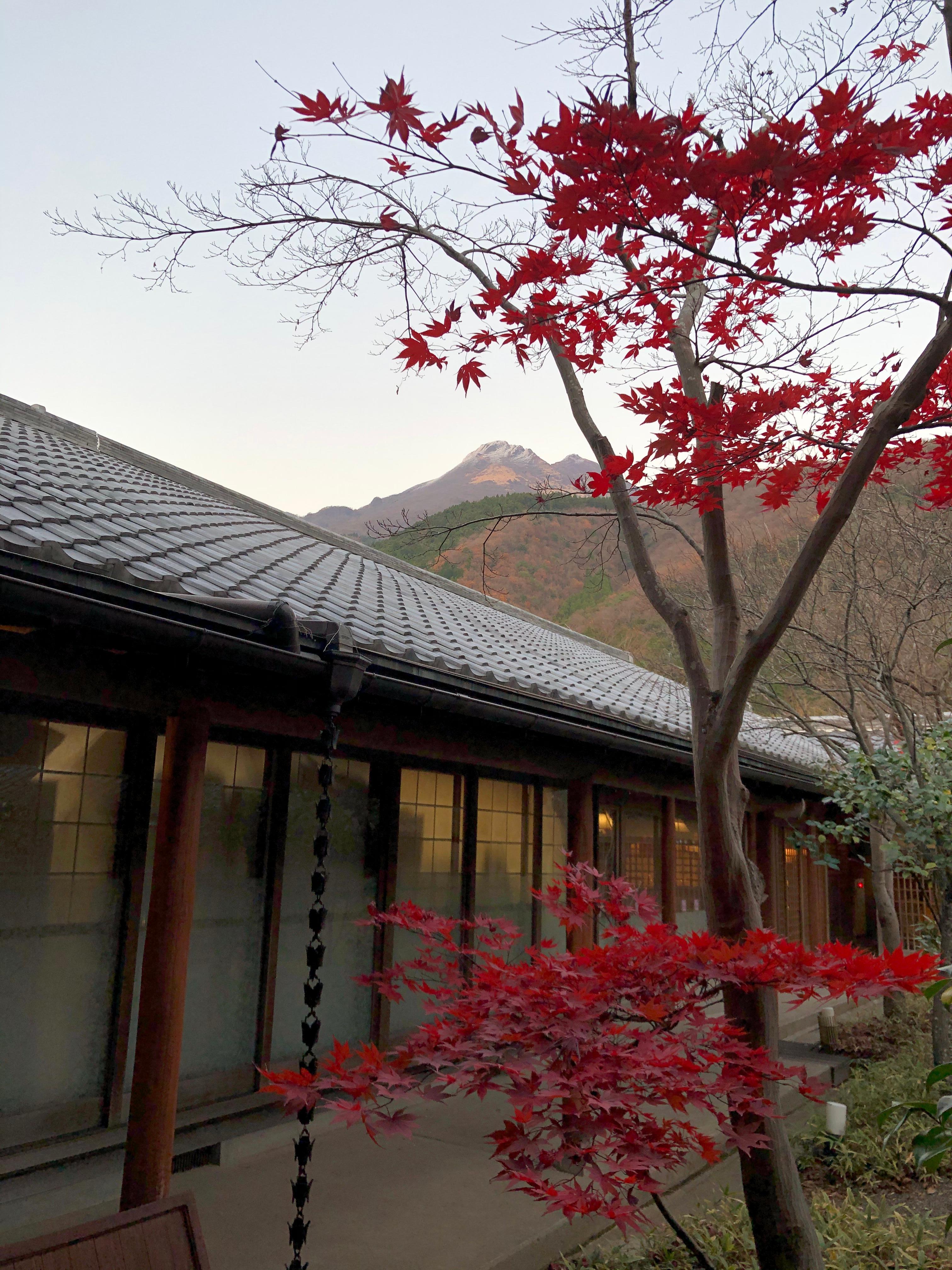 View from ryokan compound 