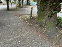 Pets in the neighborhood